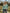ea6d0f9a70ce42609e3a7b3fa30198e7-Max