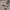 ea82e2e569754b74a6db11da6b436a5a-Max-Origin