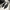 eaeea4ba-f753-48cf-a584-6cb191297258-Max-Origin