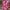 ecb7943a-1ee7-4731-a30b-b5be5f3686f9-Max-Origin