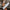 ecbf5e1c4e4e405db258546a53ea7cd7-Max-Origin