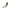 f04c9129-488f-455f-9149-cf3a36ae61ae-Max-Origin
