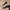 f0c4d63046304ff9a964e8caf2927b14-Max-Origin