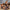f12e9846c3f4422fbf149720467d71f0-Max-Origin