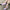 f205a804-ca1c-42ac-b56d-44d30b4a8c15-Max