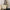 f2915905f305478b8a4688398a641bdb-Max-Origin
