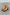 f2c1b63a1770431aa0f3f50c0f12b279-Max