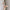 f3147c51-f138-4ca0-bec7-d0c5152c44f8-Max-Origin