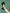 f47add4c2d4f41c797606cee77527c43-Max-Origin