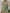 f58520ca-2c96-49c6-8b96-16c868197084-Max
