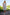 f68ce2aef6ab42e192cd5b4322380d79-Max-Origin