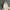 f724c9af-d94a-478b-8a74-df9b9578a255-Max