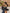 f72d4df2a3cc4551974d5a8bf3e9d0a3-Max-Origin
