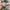 f7596c3a-e596-40d9-85ad-485cf89af333-Max-Origin