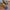 f7828e4e74a84f1d980d1131c67adb92-Max-Origin