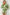 Flower Pattern Long Sleeve Sweater and Drawstring Shorts Set - DaTrendStore.Com