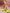 f982a543e366466e92be4d362df49b9e-Max-Origin