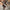 fa73003b-c5a2-4972-8dc2-4d962b8c36cd-Max