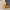 fce0c2b1-37d1-4f47-95a9-e562069e8da8-Max