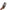 fdff77c0-3676-4741-9674-aa7a4d26a19f-Max-Origin