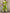 fe3ff967612a44c7b7b908de2e99e1e5-Max-Origin