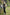 ff45225d-29d5-464c-b7fb-2ed6133025fa-Max
